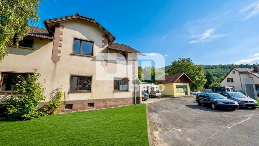 Großzügiges Einfamilienhaus mit viel Platz, riesigem Gartenareal und viel Potenzial - Zufahrt zum Haus